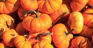 Read more about the article Congédier de façon humaine