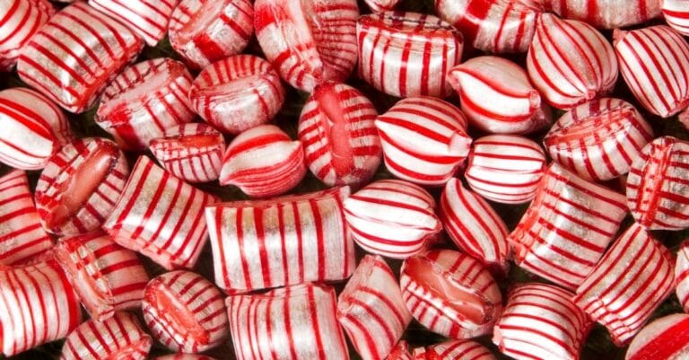 Read more about the article Devenir un meilleur gestionnaire avec des conseils concrets