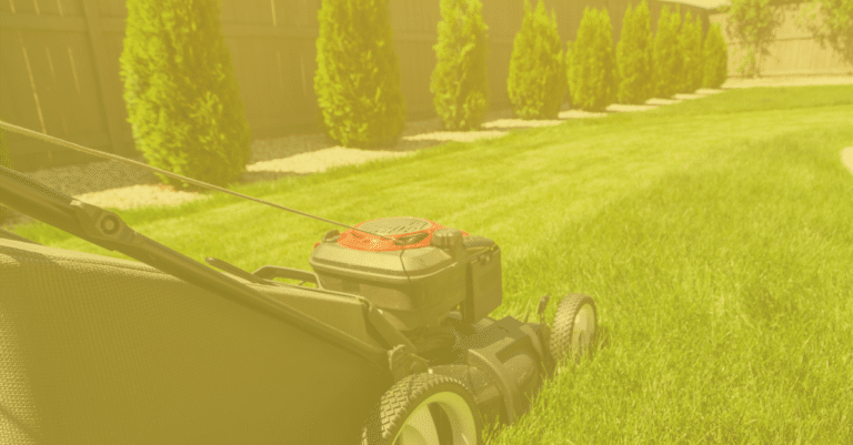 Read more about the article Réinventer le recrutement et l’accueil en mode virtuel